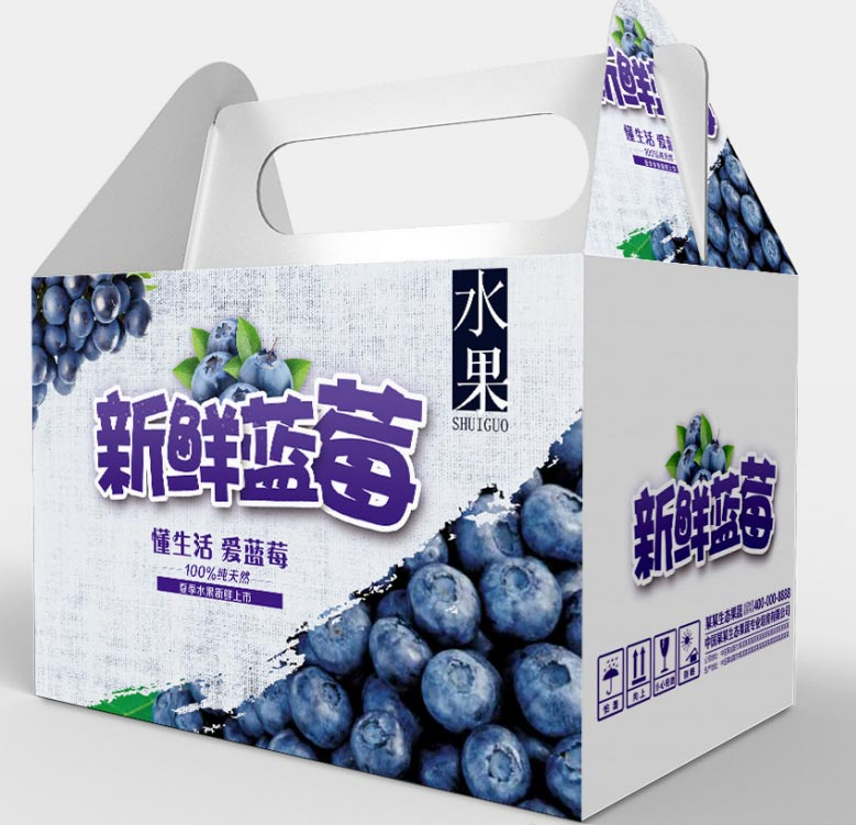 定制水果包裝盒 設(shè)計(jì)圖
